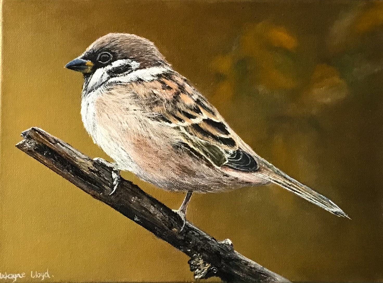 Since my early childhood I have loved birds, especially the smaller garden birds, and in particular one of my favourites is the common House Sparrow . The 'Humble Sparrow' Oil on canvas 400mm x 300mm. Dedicated to Shaun - a friend and an exceptional 'Muso'.'